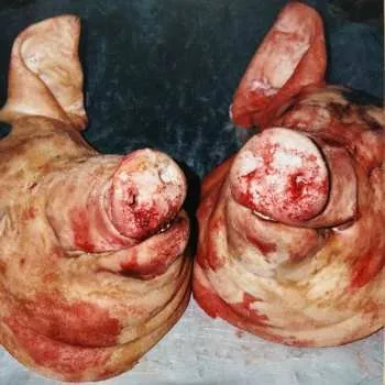 Zahraniční hudba LP The Alchemist: Haram 2025