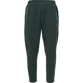 Pánské kalhoty Dlouhé tréninkové kalhoty Hi-Tec XL zelené