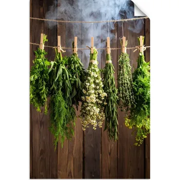 Fototapeta Samolepicí samolepicí do kuchyně jídelny restaurace Bylinky 30x45