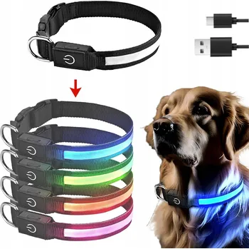 Obojek pro psa Svítící LED RGB obojek pro psy na procházky, nastavitelný, USB, M 50 cm