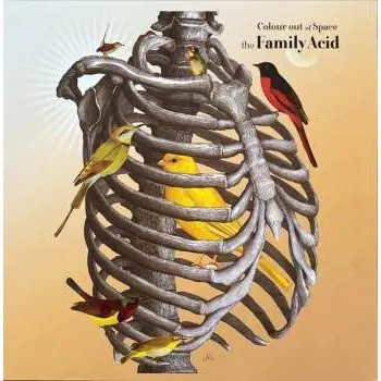 Zahraniční hudba LP The Family Acid: Colour Out Of Space 2025