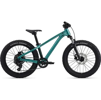 Sport Giant STP 20 FS-Giant One Size Teal