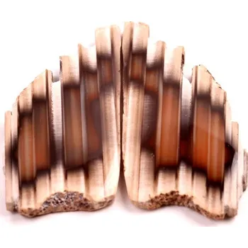 Přírodní kámen Exkluzivní párové kabošony Sumatra Achát č.P790 (48x23x5mm)