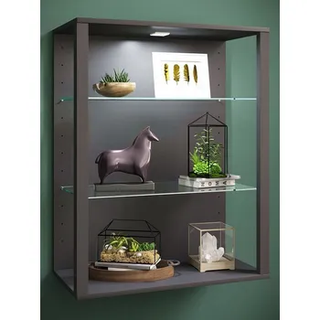 Knihovna Vcm Nástěnná vitrína Glasol LW, antracitová