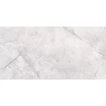 Nástěnný Obklad Arcos Light Grey Glossy 29.8/59.8