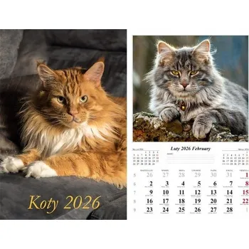 Kalendář Nástěnný kalendář 2026, 7 listů - Kočky