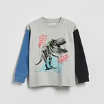 Reserved - Bavlněné tričko s potiskem a dlouhými rukávy - světle šedá - 673IR-09M - 673IR-09M-104