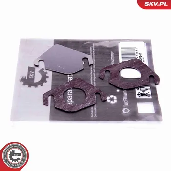 Auto-moto Sada na opravu, ventil AGR ESEN SKV 14SKV545