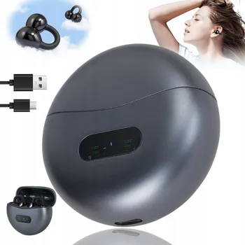 Překladač Bedee M-79