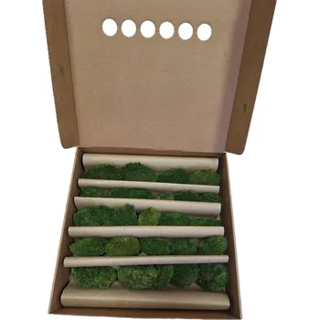 umělá květina Stabilizovaný mech přírodní zelený