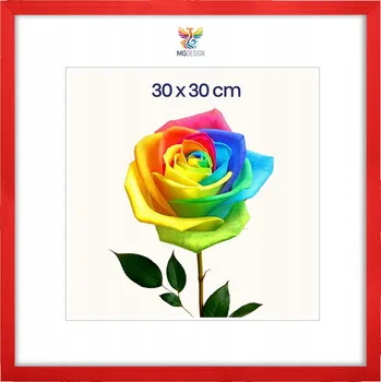 Obraz Rámeček na fotografie 30 x 30 cm, červený, z přírodního dřeva