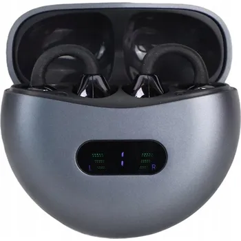 Překladač Bedee M79