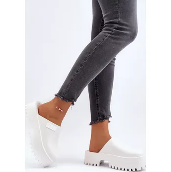 Dámské žabky Pantofle model 194121 Step in style 38