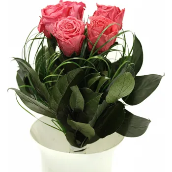 Kytice Andy (Uvázaná kytice ze stabilizovaných rostlin - vydrží až 730 dní)