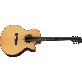 Akustická kytara Dowina Danubius GACE-S StagePro + prodloužená záruka 3 roky