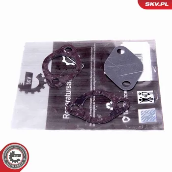 Auto-moto Sada na opravu, ventil AGR ESEN SKV 14SKV550