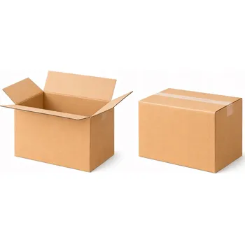 Karton Kartonová krabice 300x200x250 mm klopová hnědá, 1360 kusů, 3vrstvá lepenka B 380g
