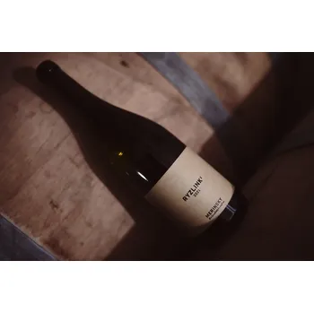 Ryzlink² 2021, moravské zemské víno, Víno T. Měřínský Vranovice, suché