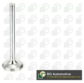 Rozvod motoru BGA Výfukový ventil BGA V537851