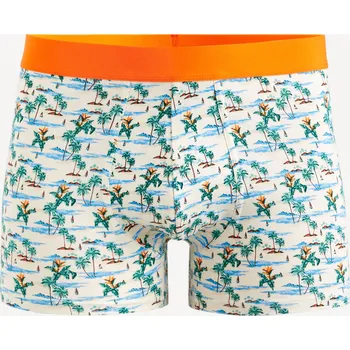 Pánské spodní prádlo Celio Vzorované boxerky Giboparadi 1143946 Barevná S