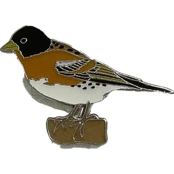 Odznáček - pěnkava jikavec