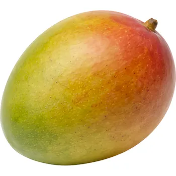 Ovoce Mango "Ready to Eat" 500g