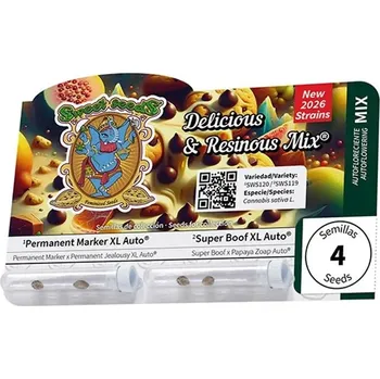 Pěstitelství Sweet Seeds Auto Delicious & Resinous Mix® Počet ks Feminizované: 4
