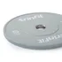 Trinfit Bumper Plate Training