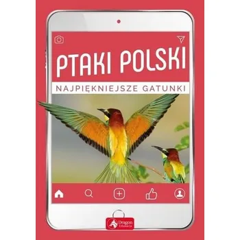 Příroda Ptaki Polski - Przybyłowicz Anna, Przybyłowicz Łukasz