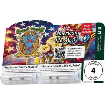Pěstitelství Sweet Seeds Auto American Pie Mix® Počet ks Feminizované: 4