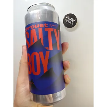 Pivo Chroust Salty Boy 12°/5,3% 0,5l