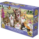 PUZZLE 3D Smějící se kočky 31x23cm 100 dílků skládačka v krabici