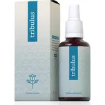 ENERGY Tribulus terrestris forte 30 ml