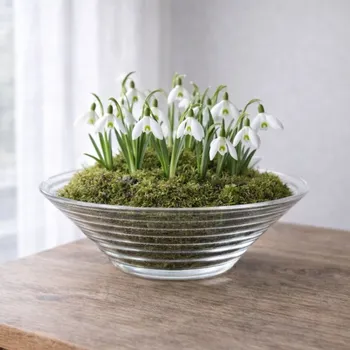 Váza Duif Skleněná kulatá mísa Tucson M