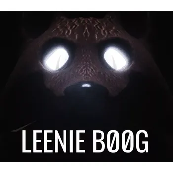 Počítačová hra Leenie Boog
