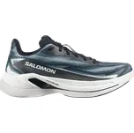 Běžecké boty Salomon SPECTUR 3 l49137400 Velikost 46,7 EU | 11,5 UK | 12 US | 29,5 CM