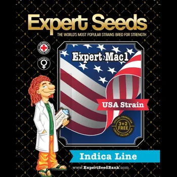 Semeno Expert Seeds - Expert Mac 1 (VÝPRODEJ) 10 ks
