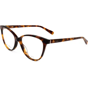 Brýlová obroučka Pierre Cardin