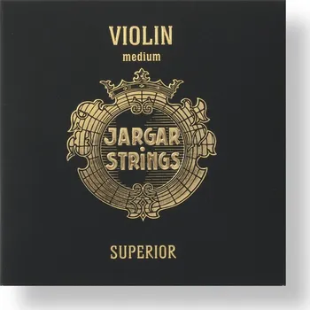 Housle Jargar Superior violin set