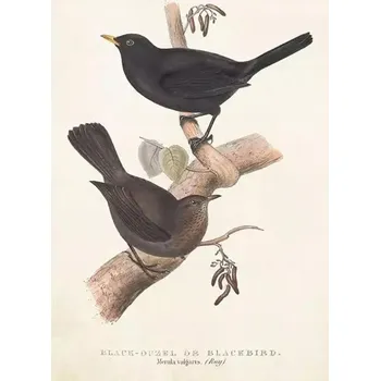 Obraz Vánoční přání 1 x 1 cm