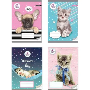 Sešit Sešit A5 s linkami Beniamin, 16 listů