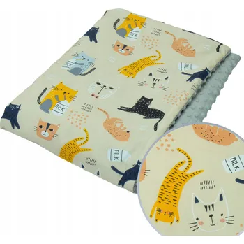 Dětská deka Dětská deka 75x100 cm Minky PRO MIMINKA A NOVOROZENCE Kerstin