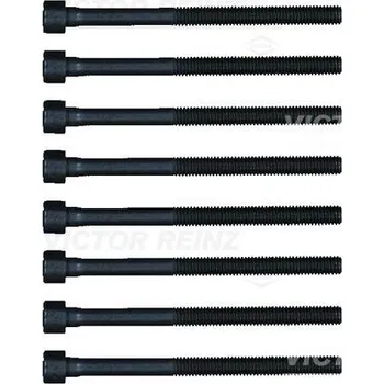 Spojovací materiál motoru Sada šroubů hlavy válce VICTOR REINZ RNZ14-32366-01