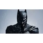 Batman Arkham Origins Season Pass