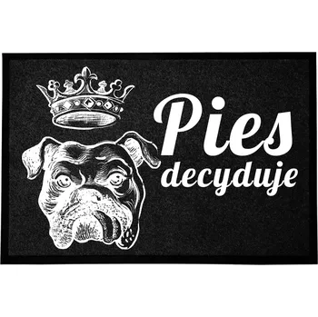 VSTUPNÍ ROHOŽKA 40X60 ČERNÁ S VTIPNÝM MOTIVEM - O VŠEM ROZHODUJE PES