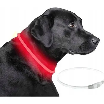 Obojek pro psa Svítící obojek pro psa Trixie vel. L/XL