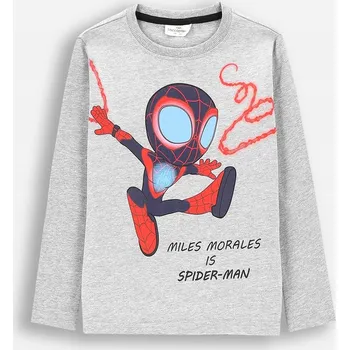 Chlapecké oblečení Chlapecké tričko šedé s dlouhým rukávem, velikost 122 Coccodrillo ZC