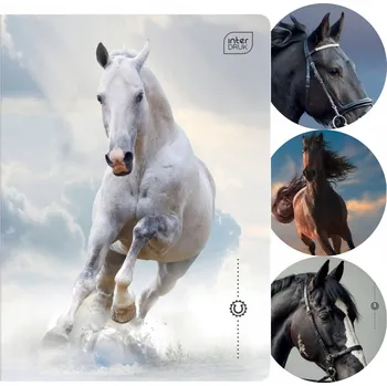 Sešit Sešit A5 32 kostkovaných listů s okrajem mix koně wild Horses Interdruk