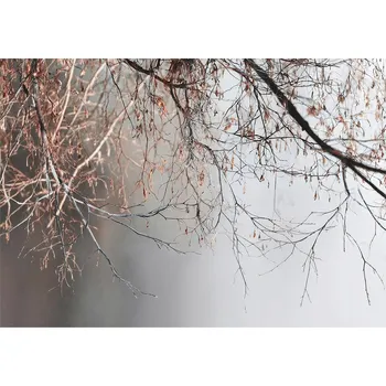 Fototapeta FOTOTAPETA VĚTVE BETON ŠEDÁ PŘÍRODA NA ZEĎ LOŽNICE OBÝVACÍ POKOJ 350x250