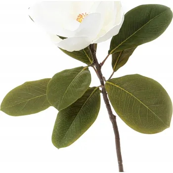 umělá květina Umělý květ HIYA umělá magnolie 70 cm HOMLA